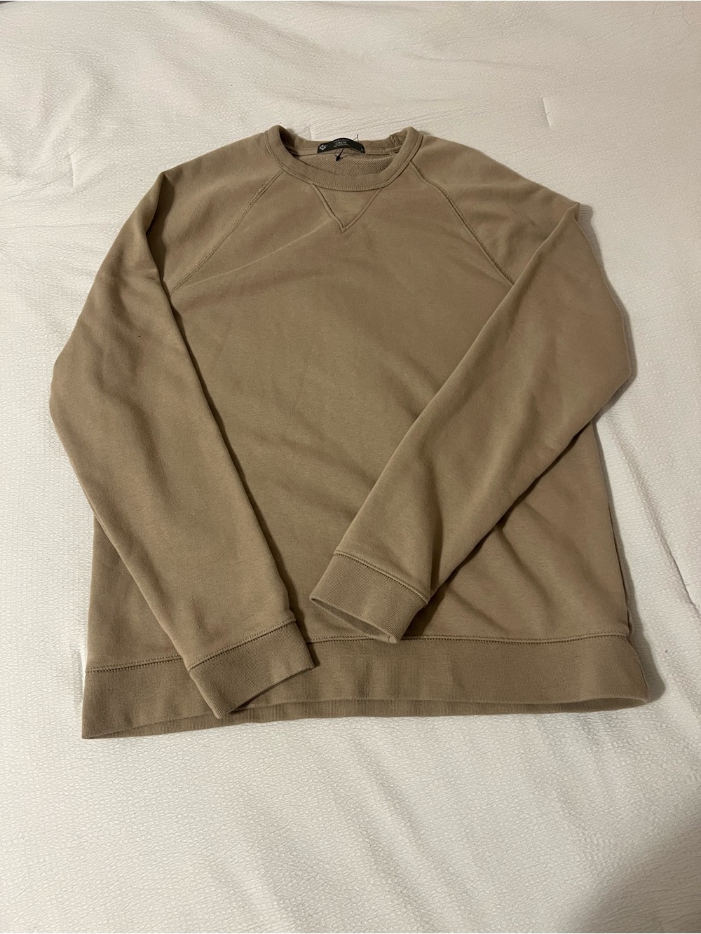 Men's Crewneck Sweatshirt in Taupe